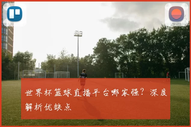 世界杯篮球直播平台哪家强?深度解析优缺点