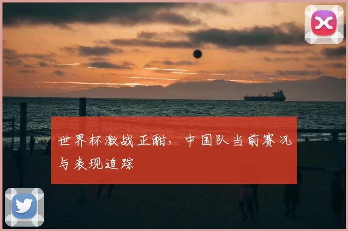 世界杯激战正酣,中国队当前赛况与表现追踪