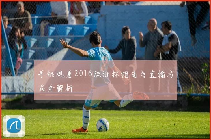 手机观看2016欧洲杯指南与直播方式全解析