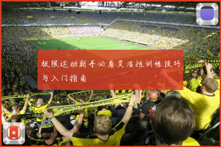 极限运动新手必看灵活性训练技巧与入门指南