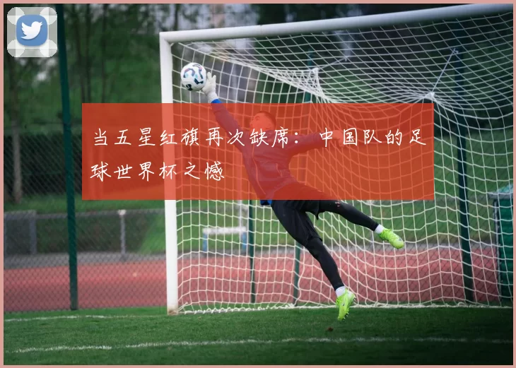 当五星红旗再次缺席：中国队的足球世界杯之憾