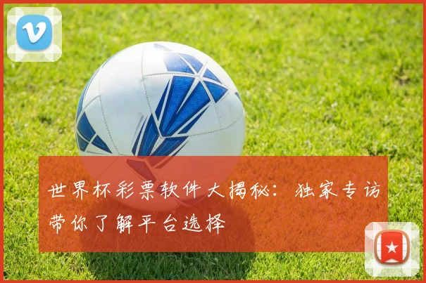 世界杯彩票软件大揭秘：独家专访带你了解平台选择