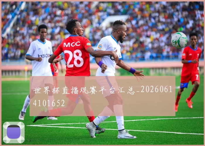 世界杯直播观赛平台汇总_20260614101652
