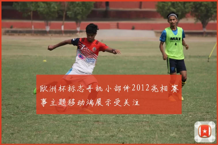 欧洲杯标志手机小部件2012亮相 赛事主题移动端展示受关注