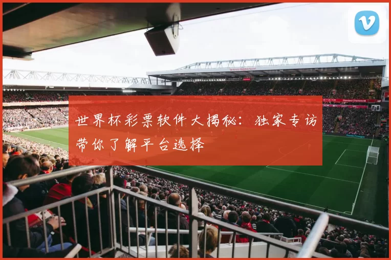 世界杯彩票软件大揭秘:独家专访带你了解平台选择