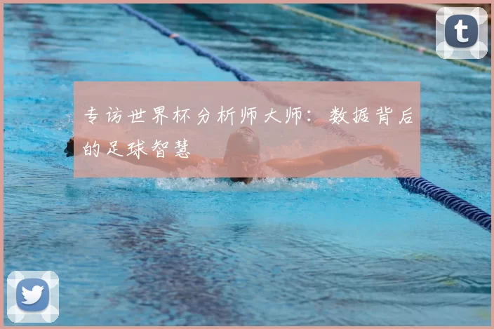 专访世界杯分析师大师:数据背后的足球智慧