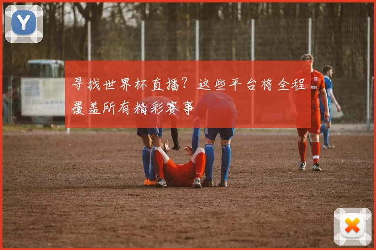 寻找世界杯直播?这些平台将全程覆盖所有精彩赛事